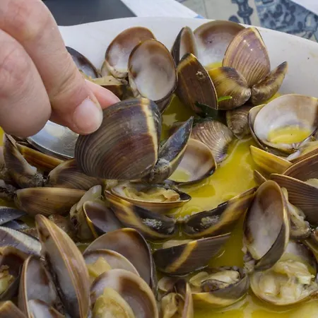 アパート B25 - Candimar