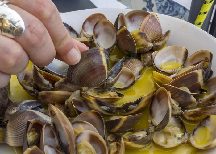 Appartement B25 - Candimar