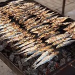 B25 - Candimar ポルティマン